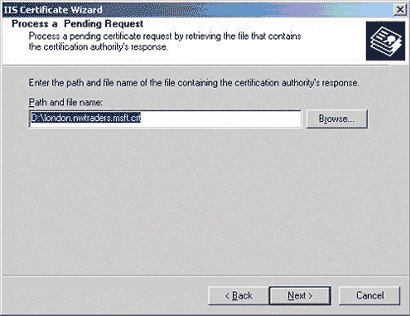 IIS Certificate Wizard - Server Certificate